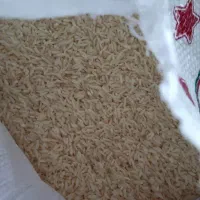 برنج طارم هاشمی( ما زنده در آن) بابل شهر بهارنارج|خوردنی و آشامیدنی|تبریز, |دیوار