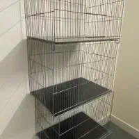 قفس جفت خون