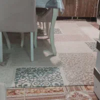 گلیم ۶متری سالم|گلیم، جاجیم، گبه|رشت, بالاکویه|دیوار