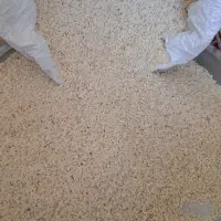 برنج خرده پارسال|خوردنی و آشامیدنی|شیراز, سایت اداری|دیوار