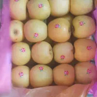 سیب زرد وقرمز مراغه سیب سردخانه خیلی زیبا ودرشت