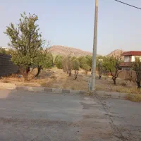 فروش قصر سبز|فروش زمین و ملک کلنگی|شیراز, باغشهر قصر سبز|دیوار