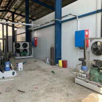 احداث سردخانه زرشک /|ماشین‌آلات صنعتی|سربیشه, |دیوار