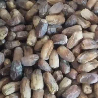 خرما|عمده‌فروشی|چابهار, |دیوار