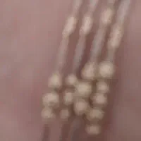 النگو طلا البرنادو