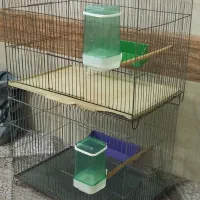 ۳ قفس واسه فروش ۱ کوچیک ۲ بزرگ تکی هم میفروشم|لوازم جانبی حیوانات|اهواز, پردیس دو|دیوار