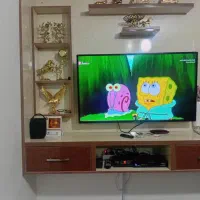 تلویزیون ۴۳اینچ سونیا