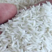 ۱۰ کیلو برنج هاشمی درجه یک