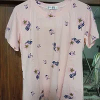 انواع کراپ و تیشرت وارداتی|لباس|قرچک, مهدیه|دیوار