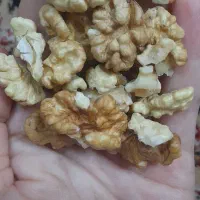 گردوپوست کاغذی۴۳۰،۵۰۰