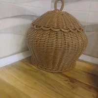 جا گردو حصیری