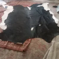 فروش