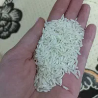 برنج هاشمی ۲۰کیلو