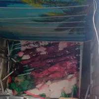 پیکان وانت.دوگانه شرکت|خودرو سواری و وانت|شیراز, شهرک امیر کبیر|دیوار