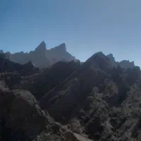 تنباکو