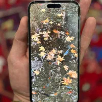 Iphone 14 pro max|موبایل|قم, نیروگاه|دیوار