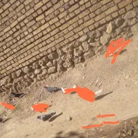 ۸کفتر شازده پلاکی