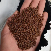 انواع غذای ماهی و داروی ضد انگل و ...