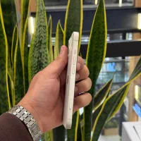 آیفون ۱۳ نرمال|موبایل|رشت, چله خانه|دیوار