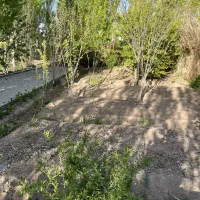 باغچه-با-درخت-میوه-دورچین-شده