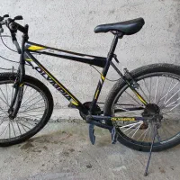 دوچرخه المپیا۲۶ پسرانه|دوچرخه، اسکیت، اسکوتر|سنگر, |دیوار