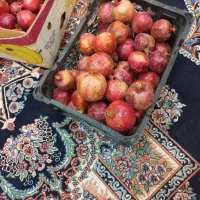 انار پوست نازک