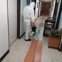 سمپاشی ساس،موریانه،سوسک،موش،کنه ۱۰۰ درصد تضمینی