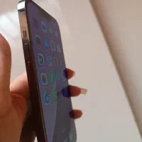 آیفون 13پرو رنگ مشکی|موبایل|جم, |دیوار