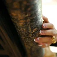 فروش مستقیم کاغذ دیواری بدون واسطه نقد اقساط