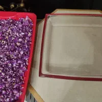 کریستال چک ده پر بازدید پرند