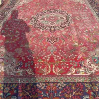 12 متری بافت تبریز نقشه درختی فرش تجاری