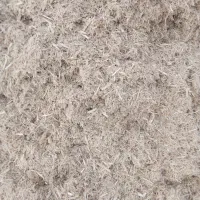کاه نیشکر