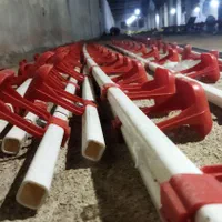 سیستم ابخوری نیپل تولید وفروش تجهیزات مرغداری|ماشینآلات صنعتی|قزوین, |دیوار