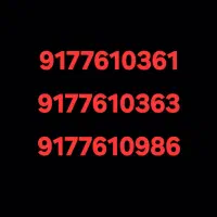 917.161.0297|سیم‌کارت|بندرعباس, |دیوار