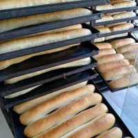 به یک موتور سوار نیازمندیم