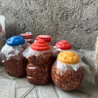 ترشی گوجه و چای سازروهمی