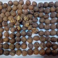 فروش گردو  و مغز صد در صد تویسرکان و اورگانیک|خوردنی و آشامیدنی|تهران, مرزداران|دیوار