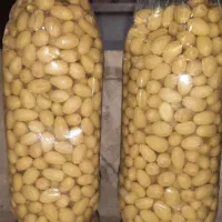 خوراکی|خوردنی و آشامیدنی|پاوه, |دیوار