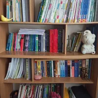 کتابخانه|کتابخانه، شلف، قفسه‌های دیواری|تهران, شهرک ولیعصر جنوبی|دیوار