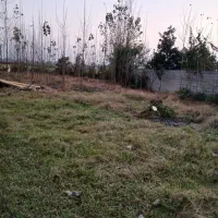 فروش-فوری-زمین-روستایی