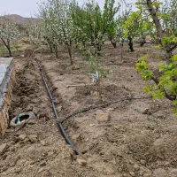 باغ استخر دار و لوله کشی شده|فروش دفتر صنعتی، کشاورزی، تجاری|اسفراین, |دیوار