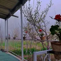 فروش باغ ویلا/ آب‌وهوا شمالی/تهاتر/فول امکانات