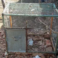 قفس مرغ و خروس آهنی