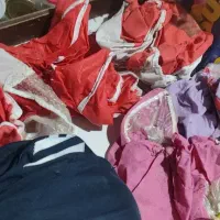 ملزومات قفس پرنده
