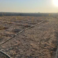 باغچه ۵۱۰ متری|فروش زمین و ملک کلنگی|قنوات, |دیوار