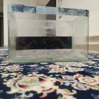 اکواریوم و ماهی