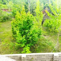 فروش-اکازیون-خونه-باغ-آدرس-سیجوادی-چت-دیوار-در-خد