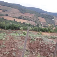 معاوضه وفروش زمین 1000متری بین توشن وگلند فخر آباد