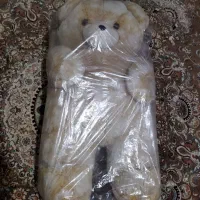 عروسک خرسی