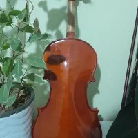 ویولن